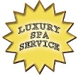 gold luxury star badge