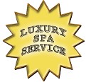 gold luxury star badge gold luxury star badge