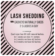 LASH SHED CHARD