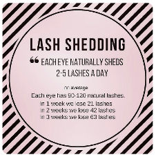 LASH SHED CHARD