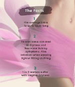 Labia Facts