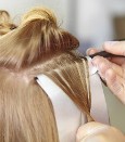 Highlights