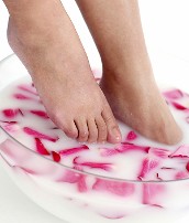 Roses & Cream Pedicure